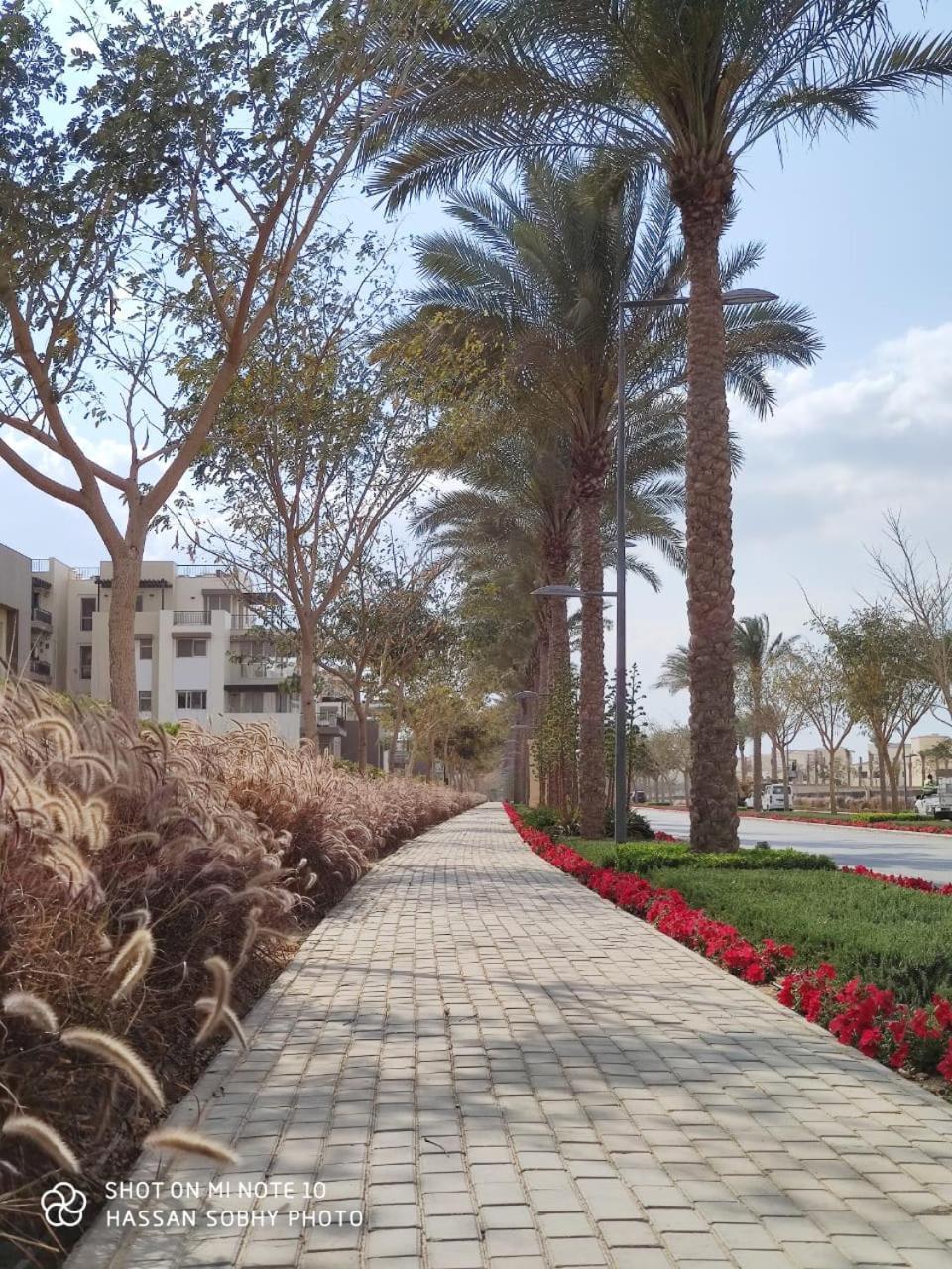 In The Heart Of *